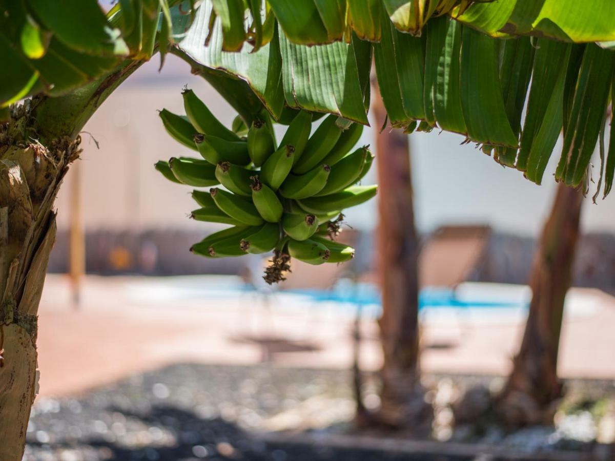Amazing Villa Viktoria! Pool Big Garden Costa Adeje  Bagian luar foto